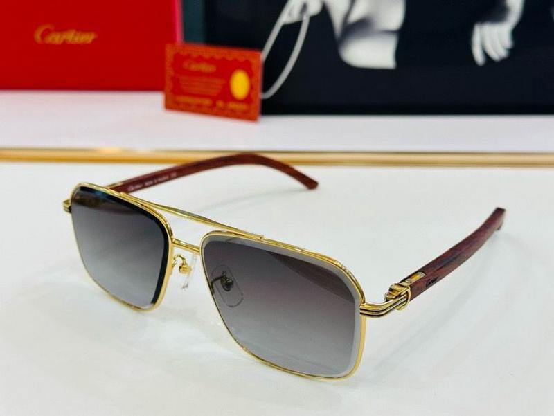 Cartier Sunglasses 1073